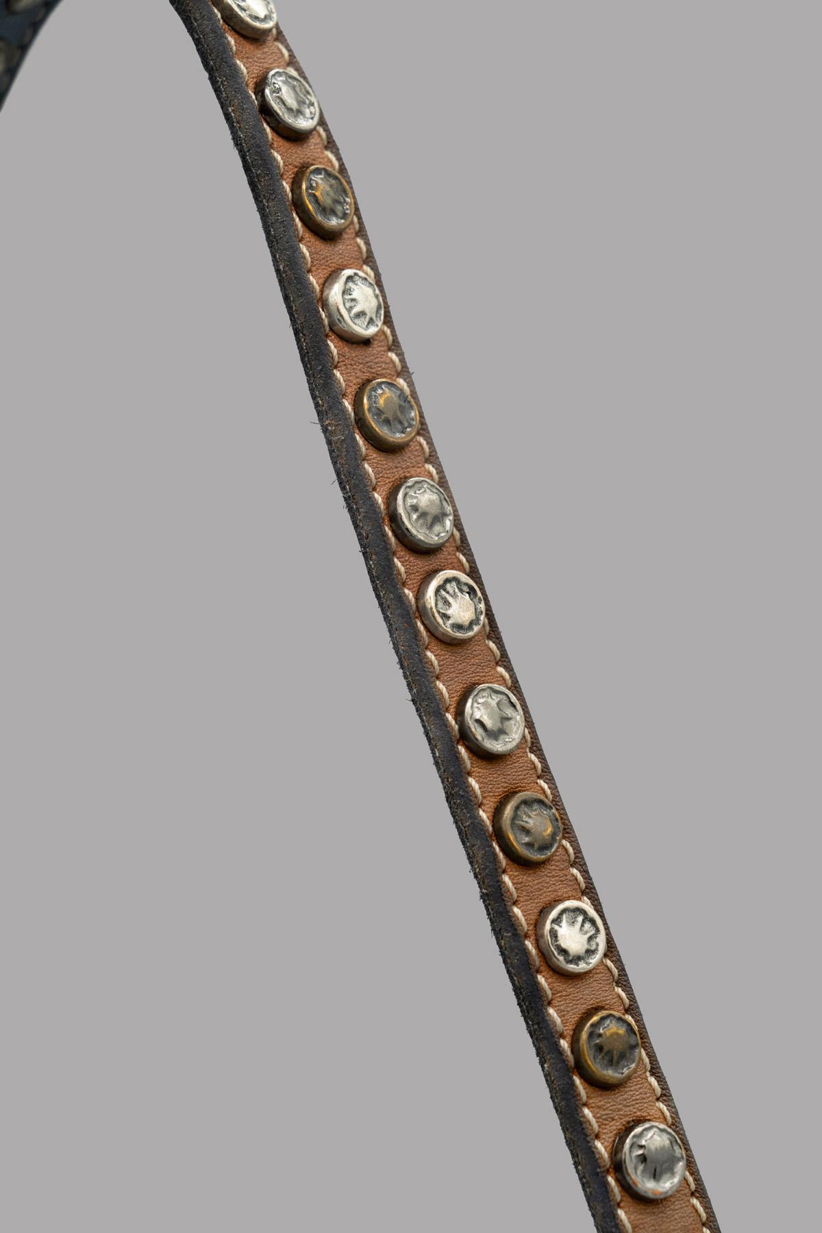 Kaylu Regin avion met